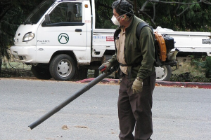 Man wears a mask while using a gas-powered leaf blower to clear leaves. Photo: Thomas, https://commons.wikimedia.org/wiki/File:Gasoline_leaf_blower,_Yosemite_Lodge.jpg 